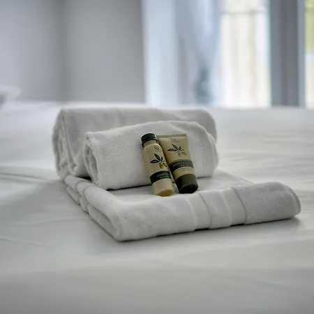 Design 2 Pièces Carre D'or -coeur De A1b205 Appartement *